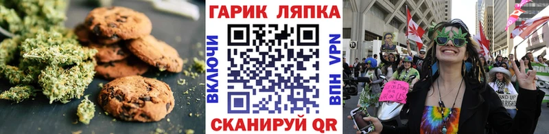 Canna-Cookies конопля  сколько стоит  MEGA сайт  Нижнеудинск 