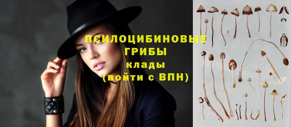 дмт Беломорск