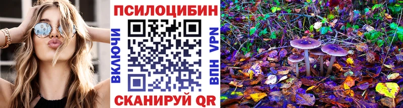 KRAKEN зеркало Нижнеудинск Псилоцибиновые грибы GOLDEN TEACHER